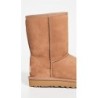 Bottes UGG Classic Short II | Article 1016223 en Stock